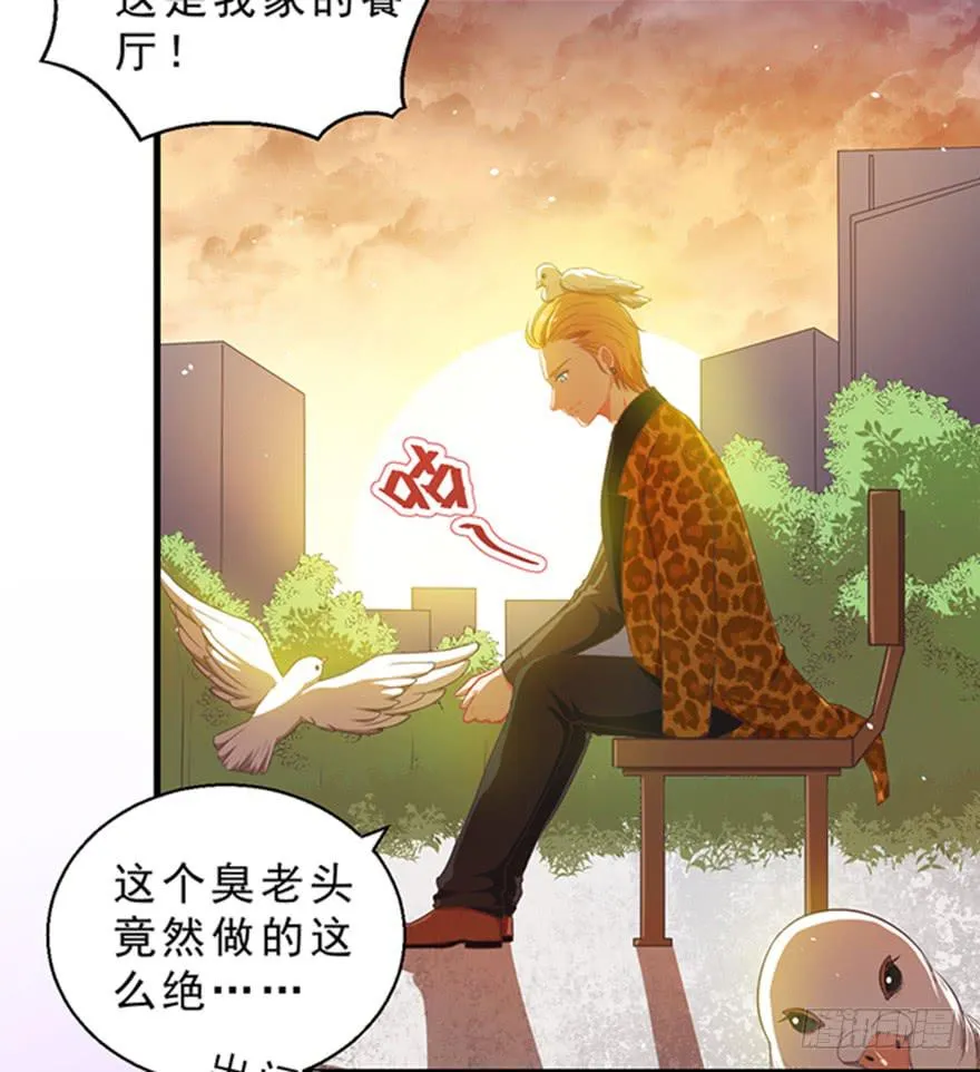 045乞丐猫总裁 第28页
