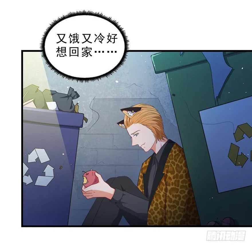 045乞丐猫总裁 第36页
