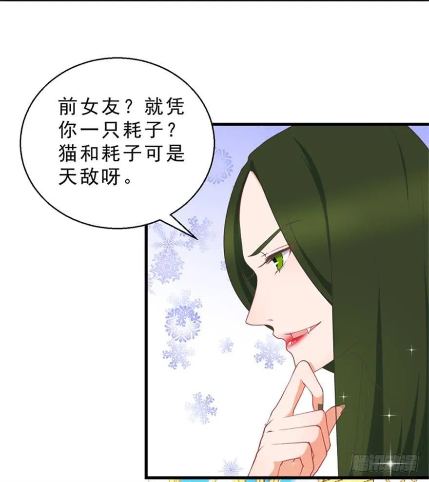 049食草动物的天敌 第14页