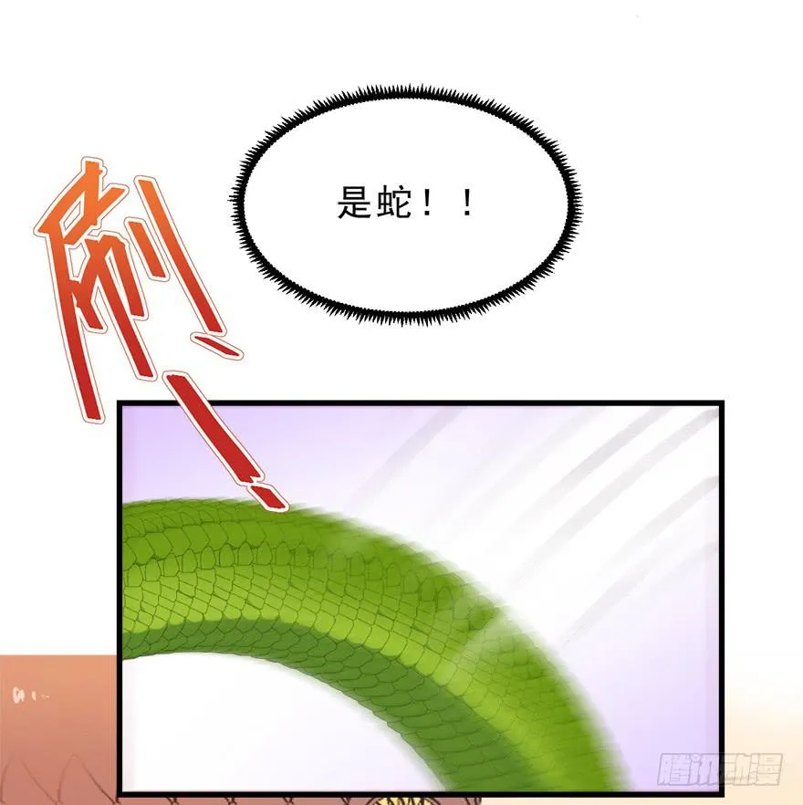 049食草动物的天敌 第21页