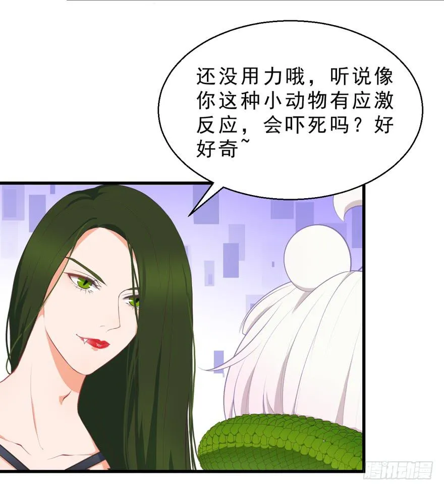 050蛇毒 第4页