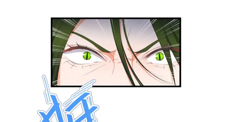 050蛇毒 第11页