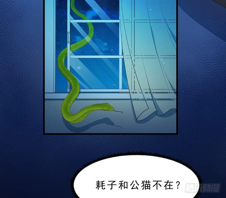 053女王的转世 第6页