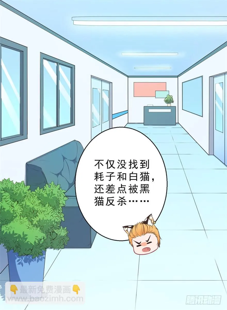 053女王的转世 第17页