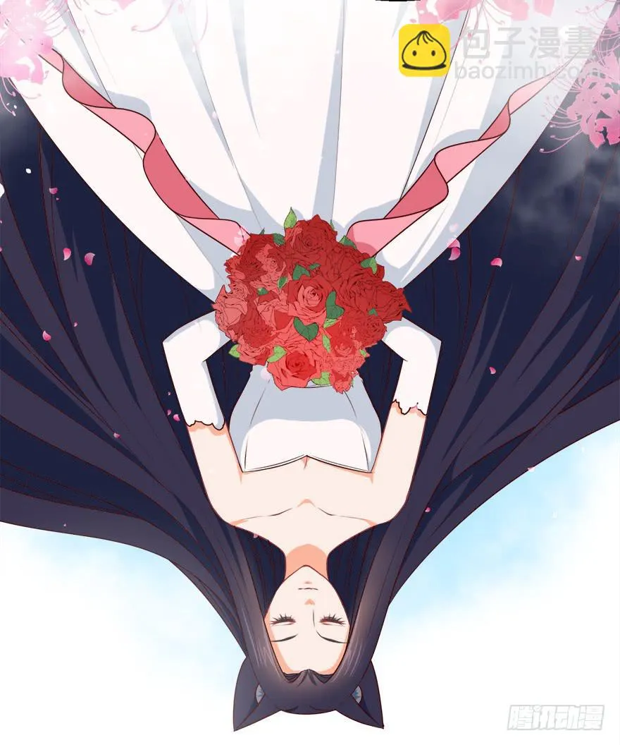 088执着什么 第11页