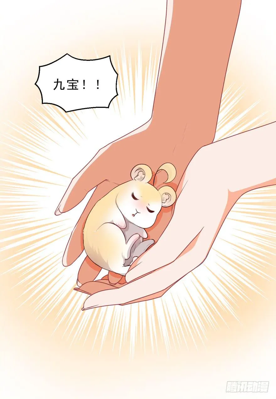 088执着什么 第46页