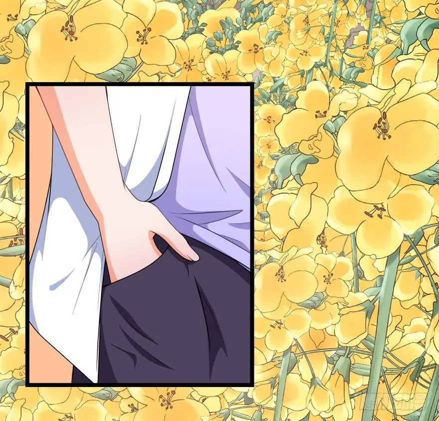 100九宝铃 第33页
