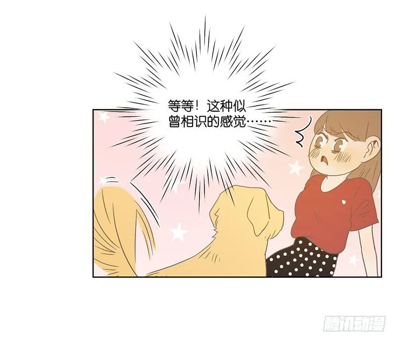 21.陆正则的梦想 第79页