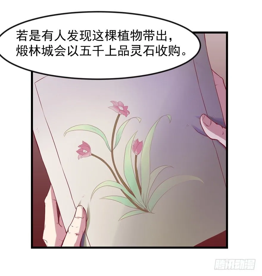 上古秘境（一） 第31页