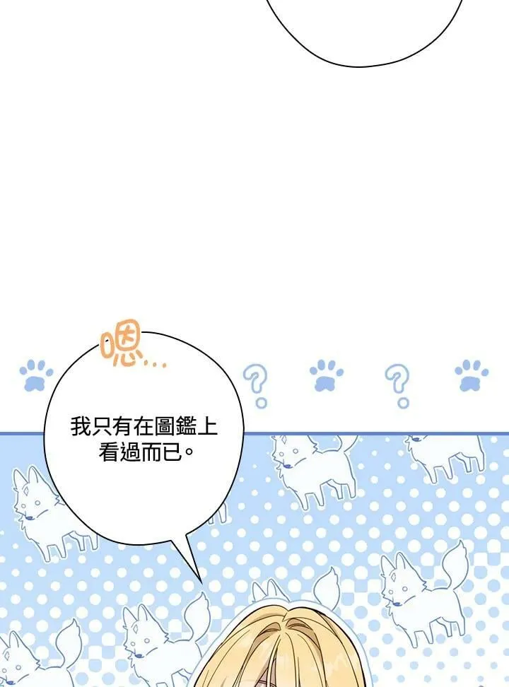 第62话 第102页