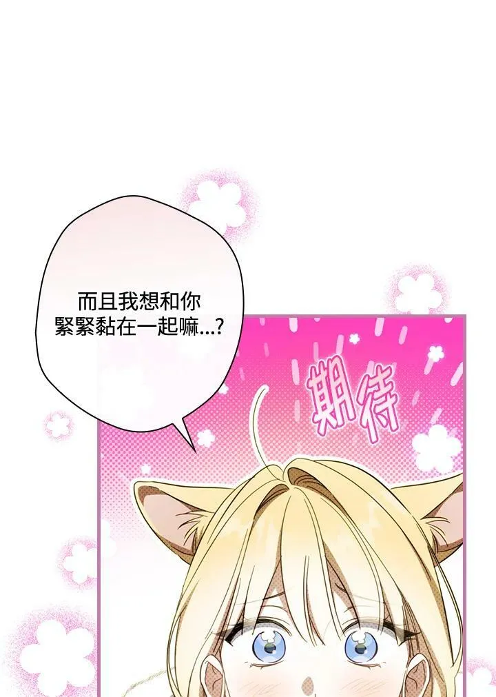 第65话 第42页