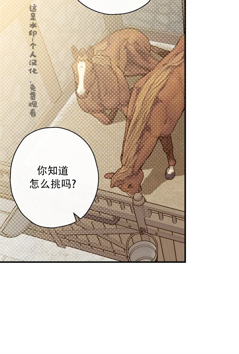 第15话  第41页