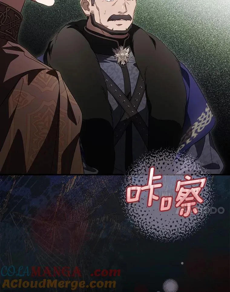 92.奇怪的组合 第113页