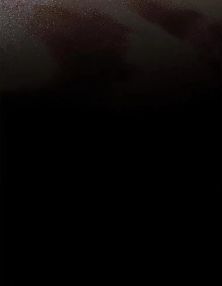 92.奇怪的组合 第131页