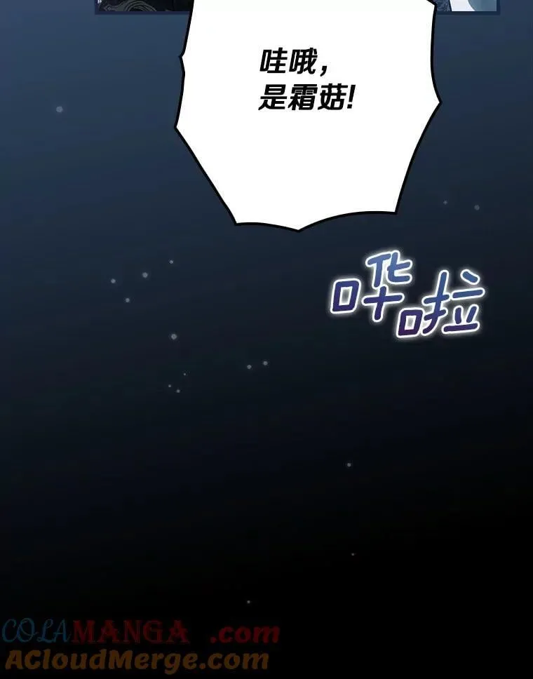 97.我害怕她消失 第13页