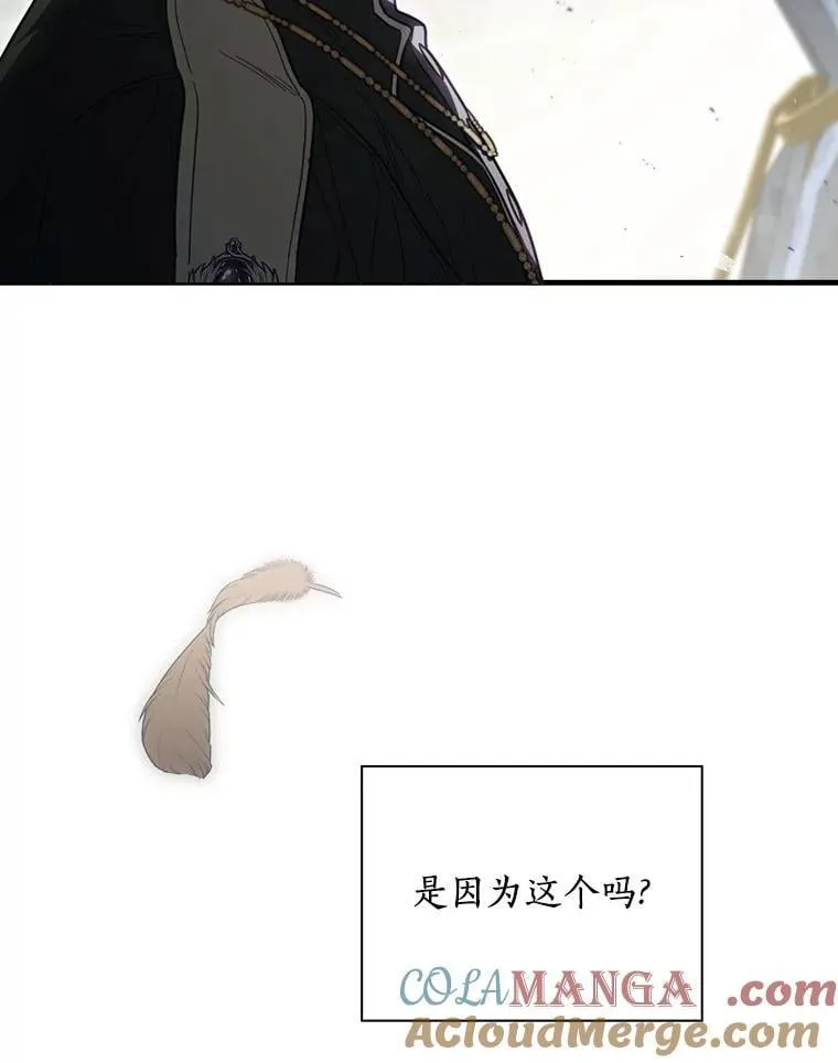 98.什么也不怕 第13页