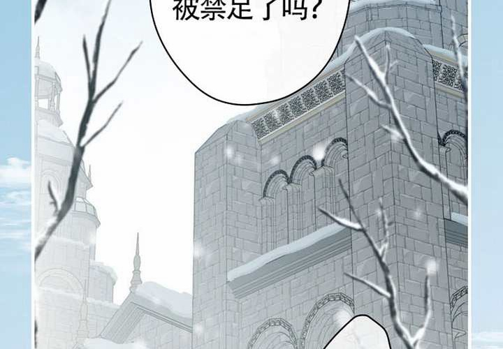 第117话 第3页