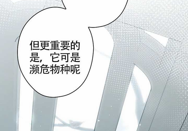 第117话 第151页