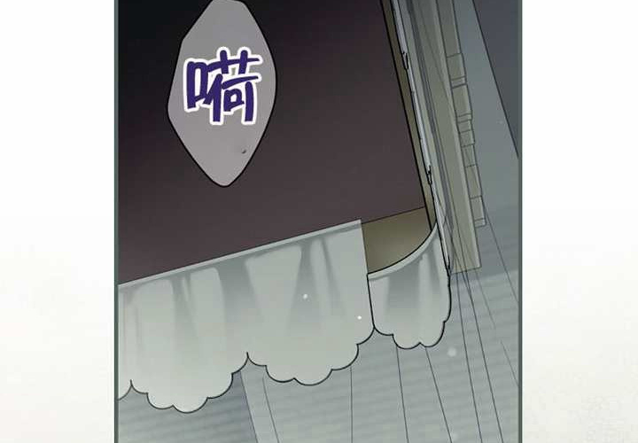 第123话 第278页