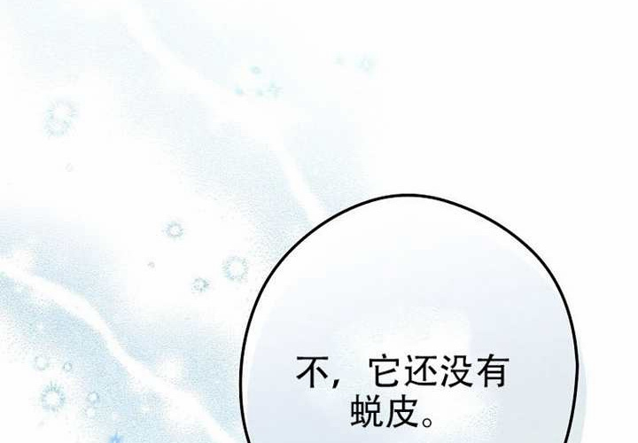 第126话 第107页