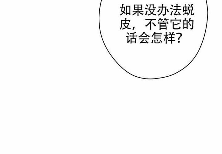 第126话 第117页