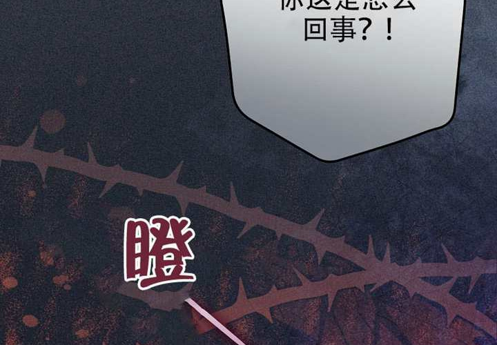 第127话 第211页