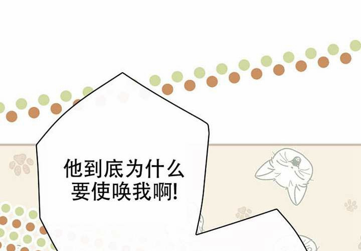 第127话 第242页