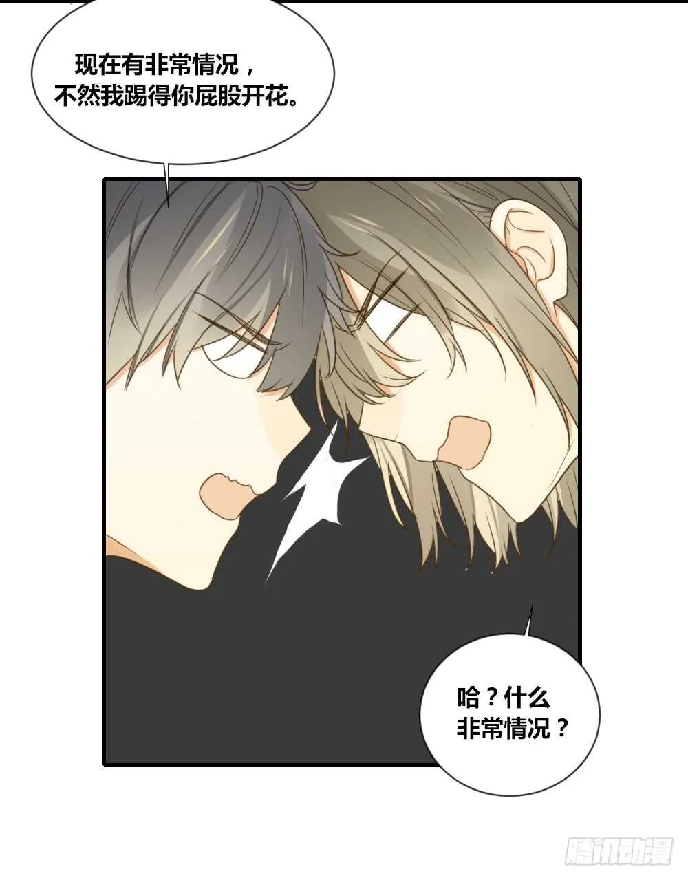 烛雨共同的敌人 第5页