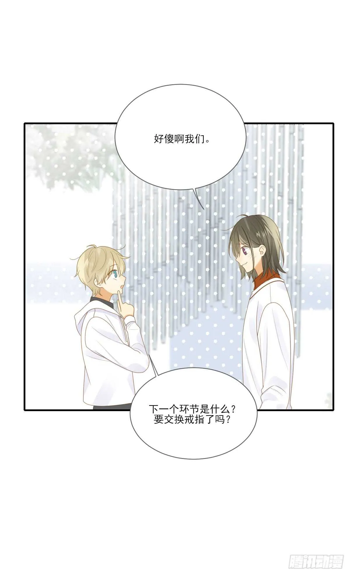 虚拟的婚礼 第27页