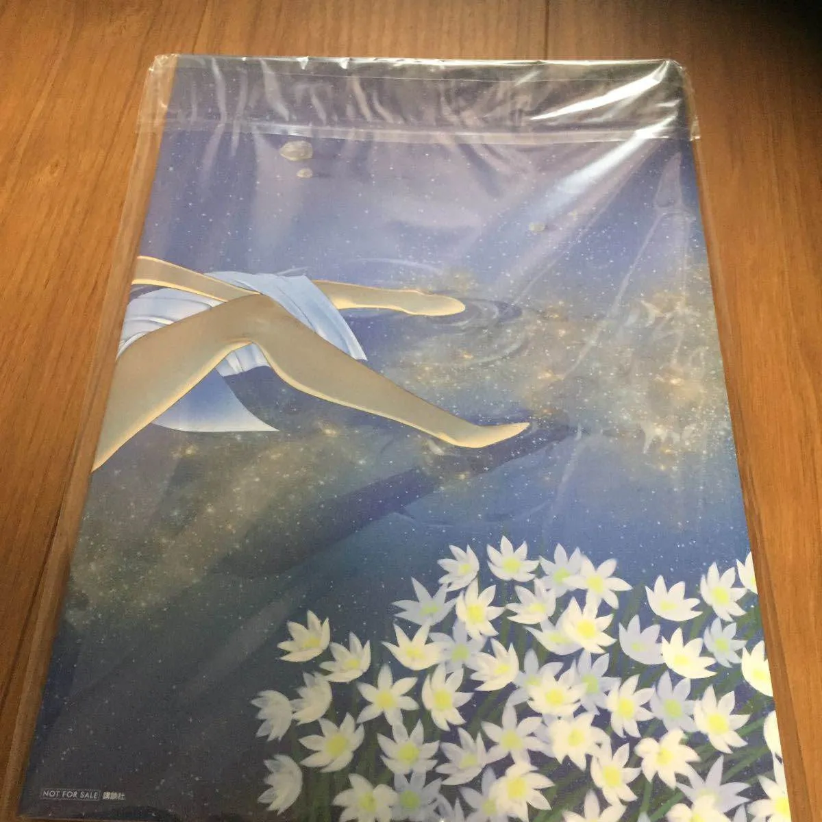 完结纪念画集 第28页