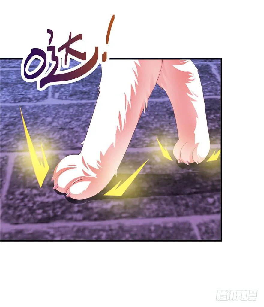 二十七回 危险夜色 第3页