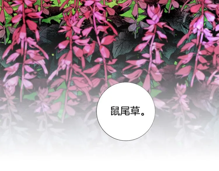 第77话 陷入危机！ 第3页