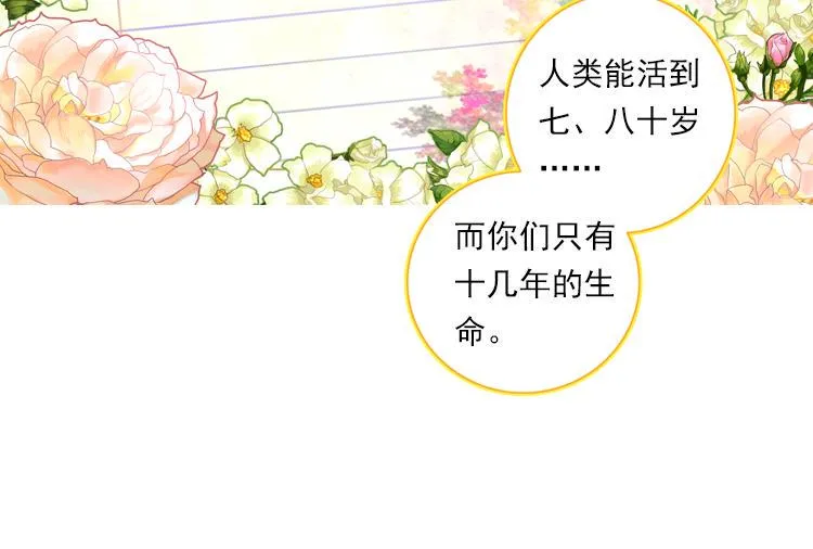 017时光（下） 第4页