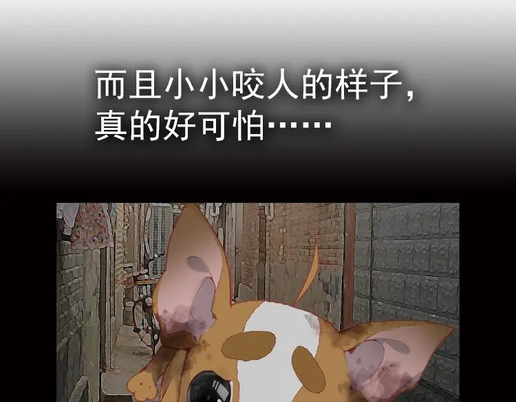 022 那渐渐逝去的离别（上） 第49页