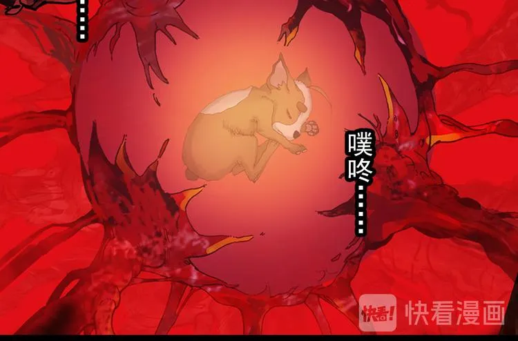 040找寻与等待（上） 第13页