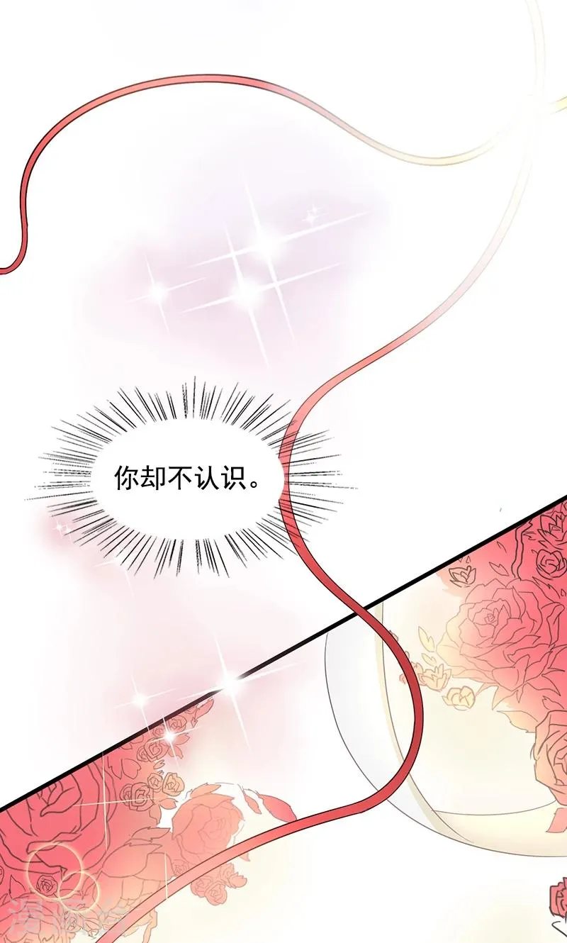 第1话 替嫁？荒唐的婚礼 第20页