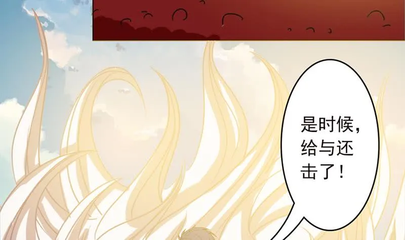 第240话 我是绝世高手高 第13页