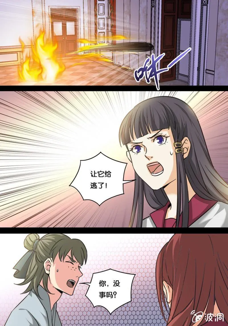 画中骑士 第11页