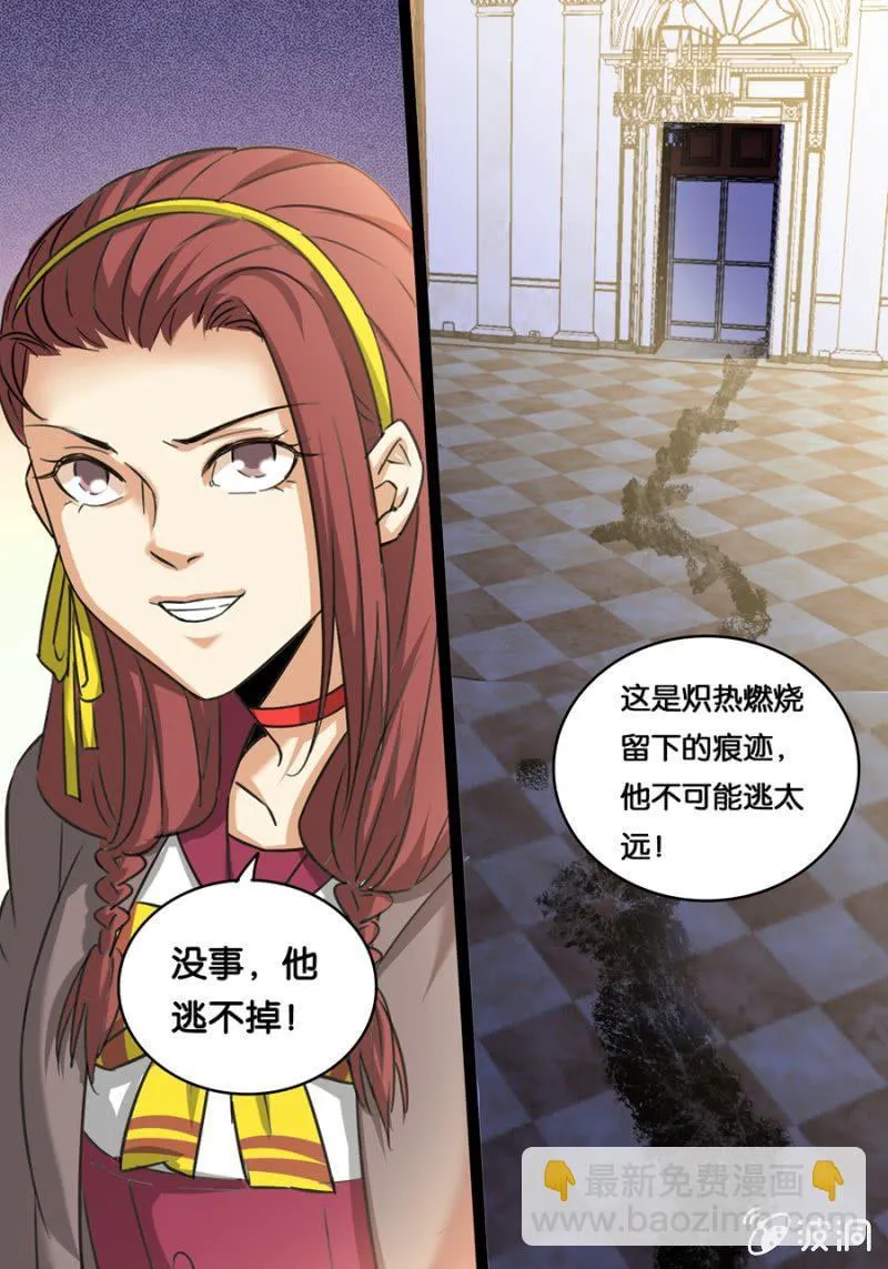 画中骑士 第12页