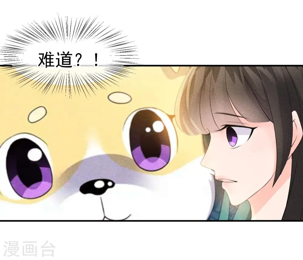 第41话 请给他一线生机 第20页