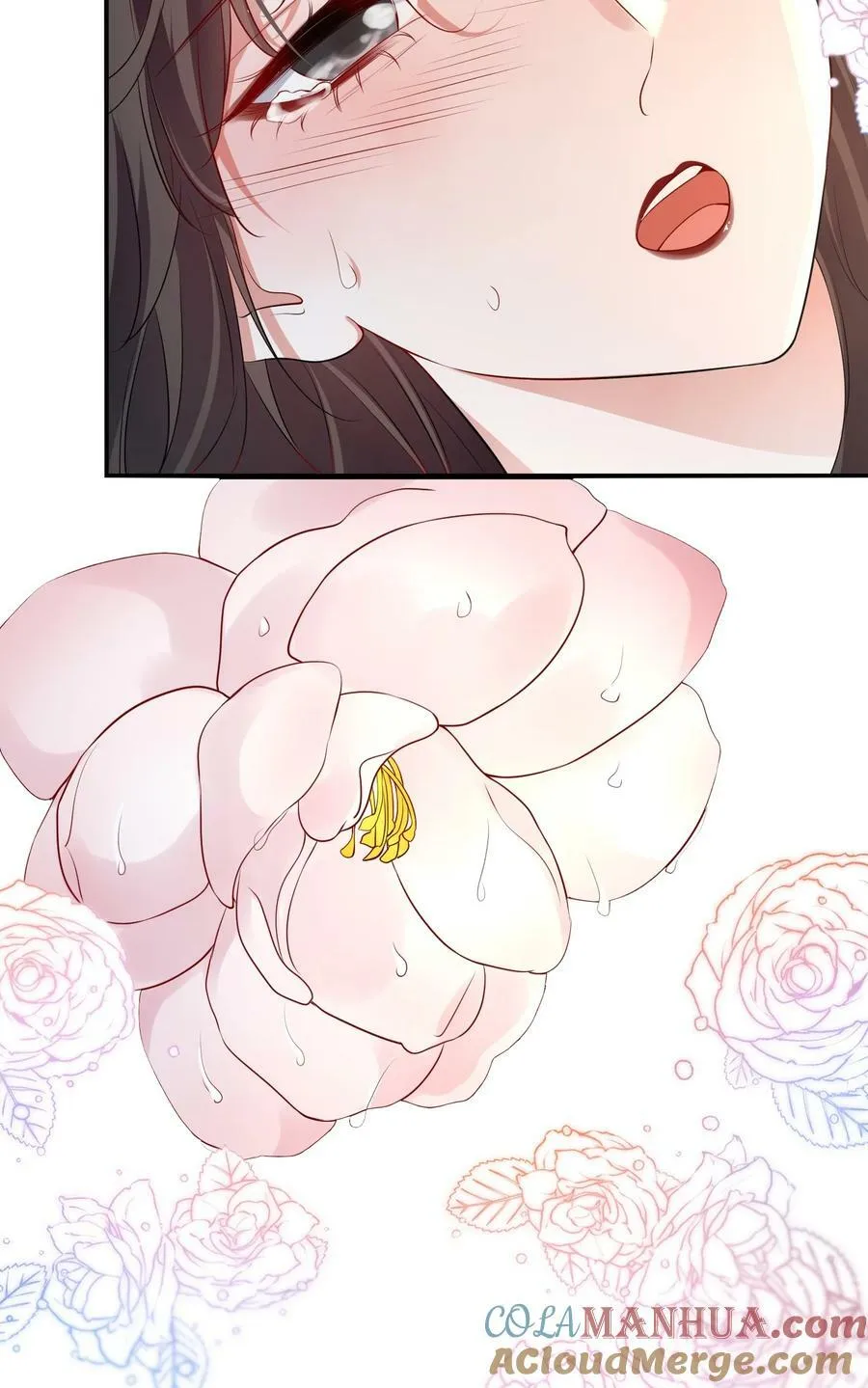 114 我愿意 第11页