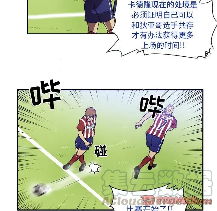39 第49页
