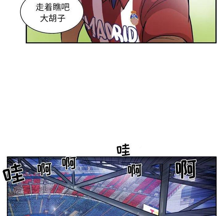 41 第17页
