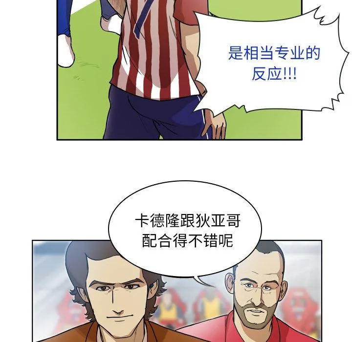 41 第36页