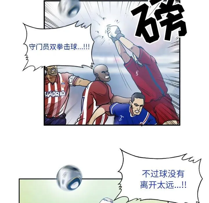 44 第45页