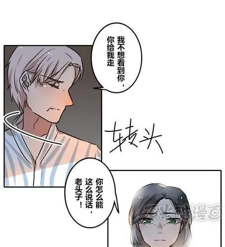 第三十八章 血缘 第17页