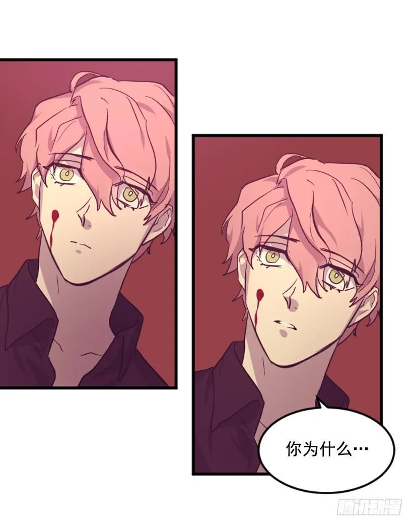 第三季预告 第17页