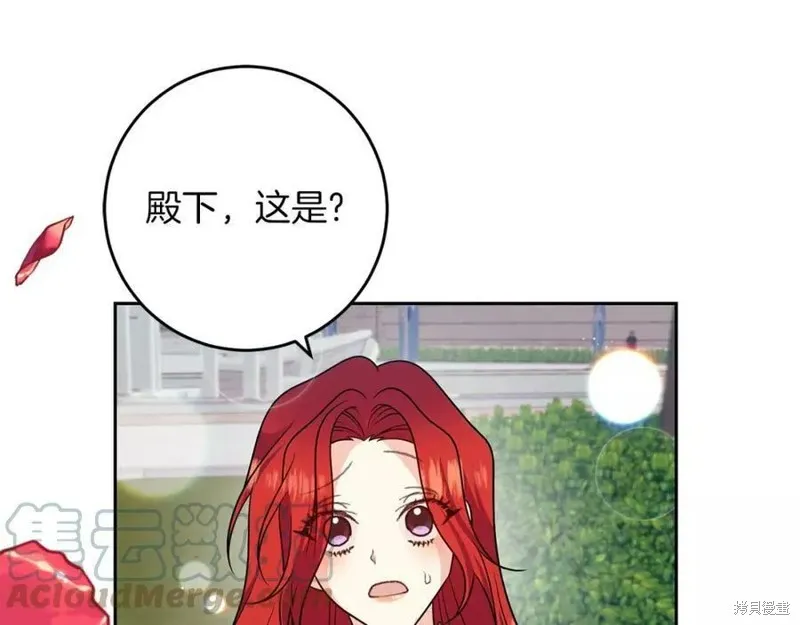 完结篇 第111页
