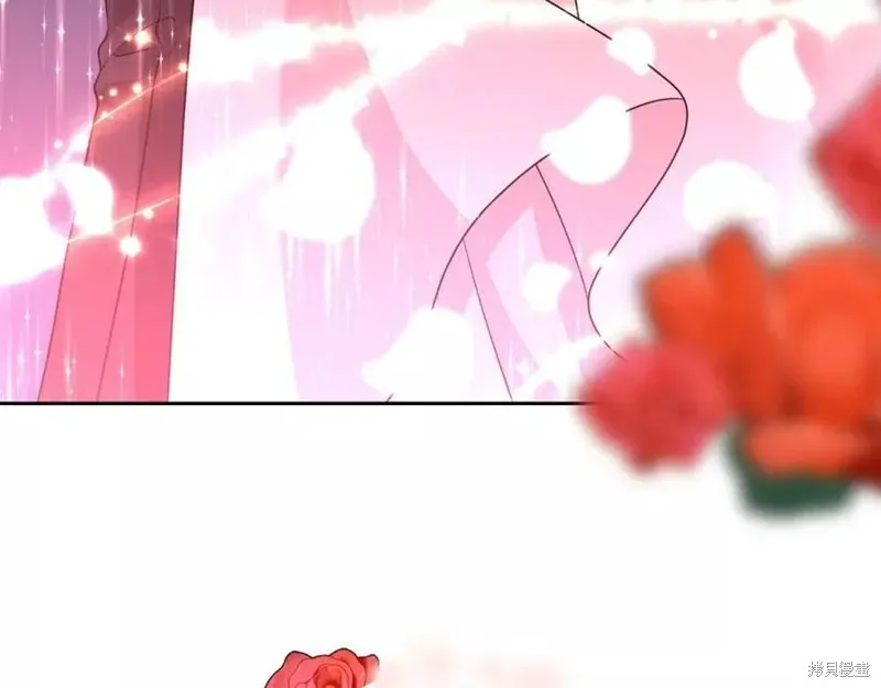 完结篇 第224页