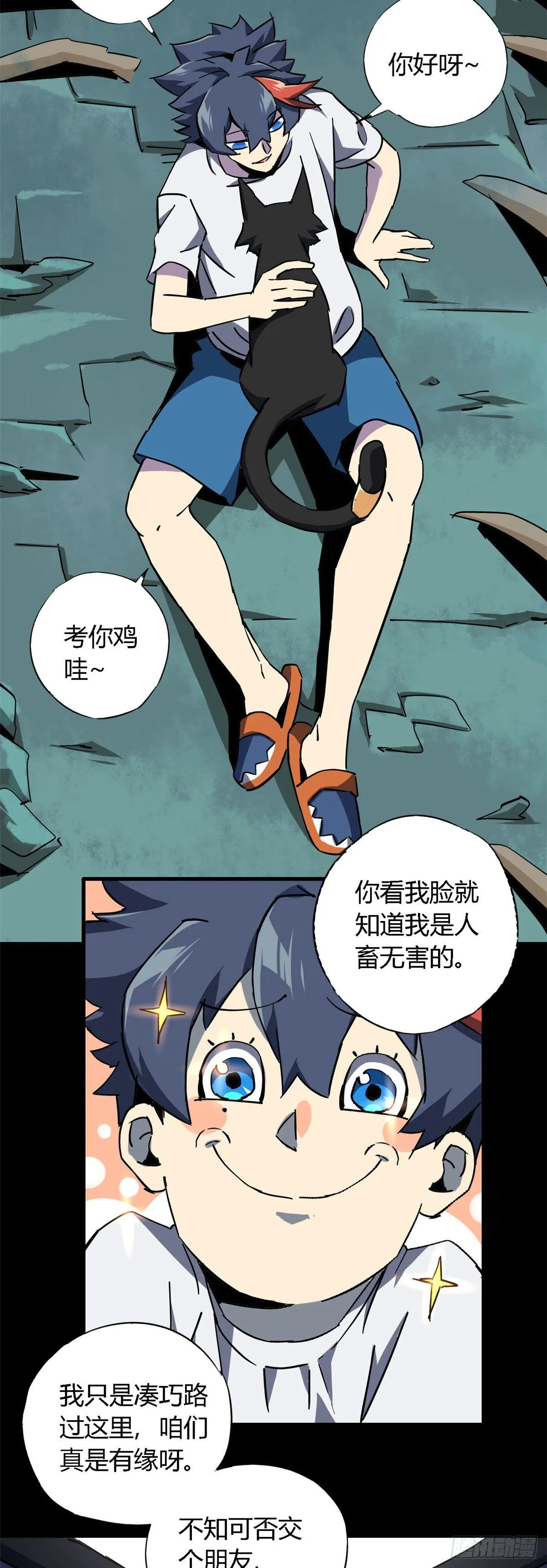 11 爱猫人士表示谴责 第5页